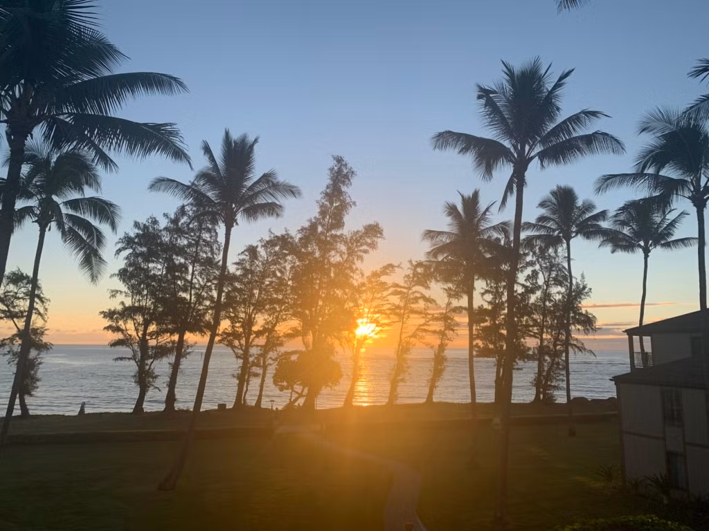 Dù cuộc sống chịu không ít phiền toái từ những con gà hoang, nhưng người dân Kauai học cách chung sống hòa thuận với chúng. Thực tế, đàn gà hoang khổng lồ cũng đem lại một số lợi ích, trong đó có thu hút khách du lịch.