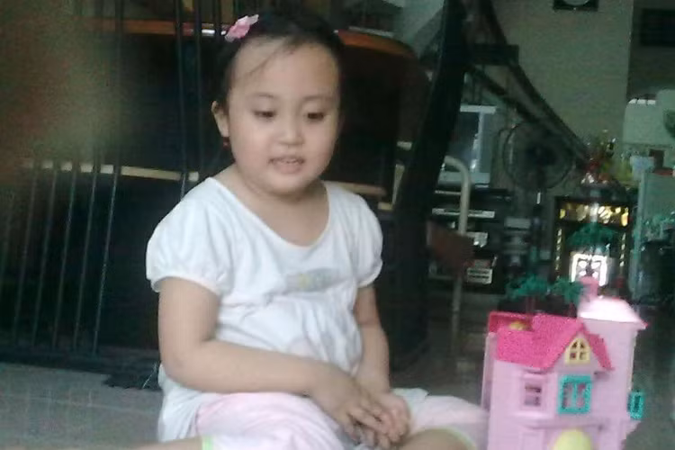 Là con gái nên nhóc tì tuổi Dậu nhà Phương Thanh yêu thích màu hồng và những đồ chơi như lâu đài. (Ảnh: Facebook nhân vật) 