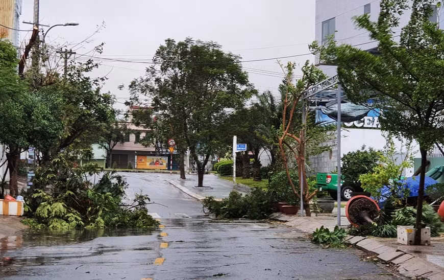 Một số tuyến đường tại quận Sơn Trà, Đà Nẵng cây bị đổ ngã.(Ảnh: TTXVN/Vietnam+)