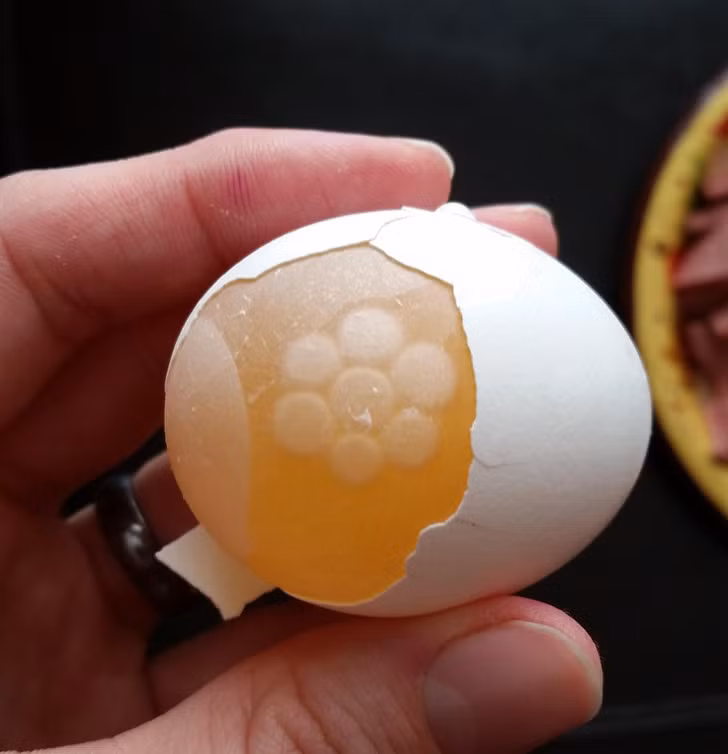 ''Khi đập quả trứng này, nó còn nguyên lớp màng và có một bông hoa nhỏ bên trong'', chủ nhân bức ảnh chia sẻ.
