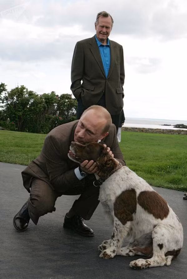 Không khó để bắt gặp những khoảnh khắc ông Putin cưng nựng động vật.