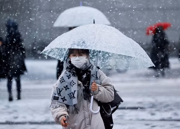 Trong khi đó, tại Nhật Bản, chỉ trong vòng hai ngày, hơn 200 người ở Tokyo đã phải nhập viện do trượt ngã vì băng tuyết rơi dày trên đường phố.