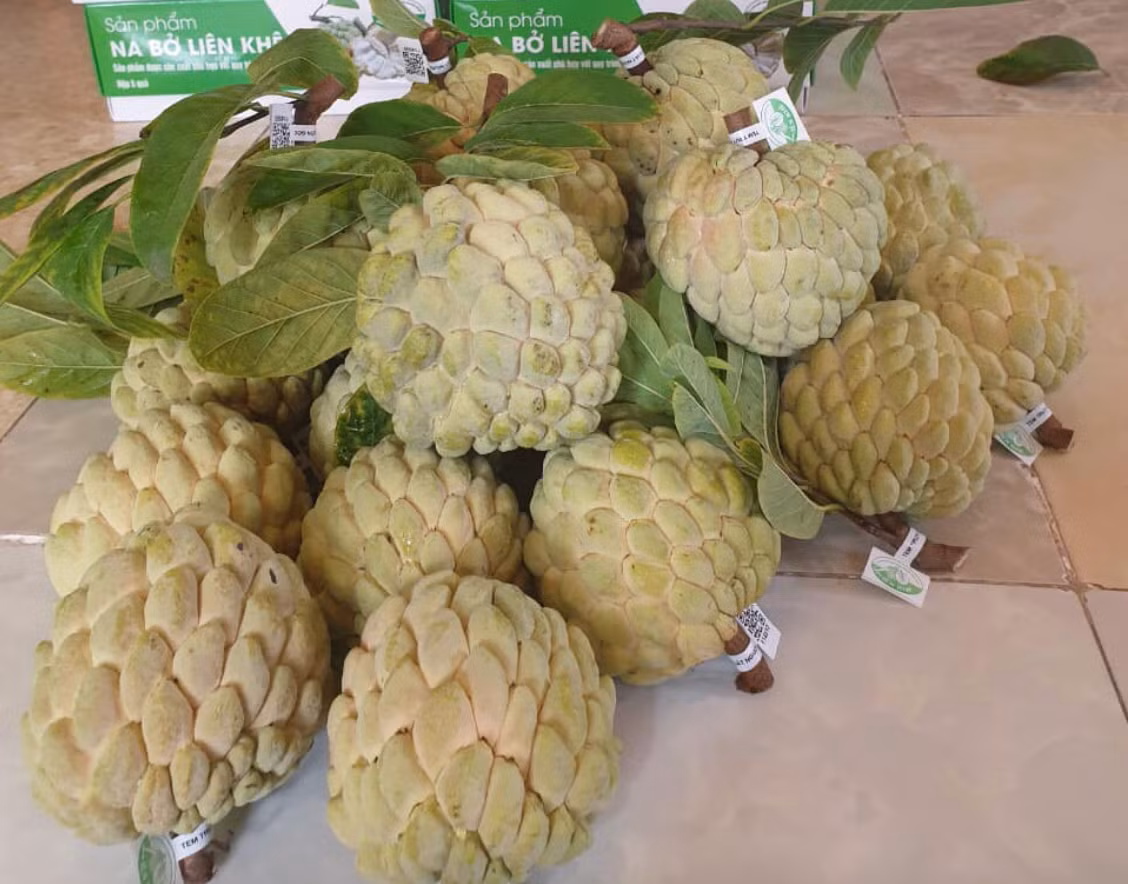 Loai qua ‘mo mat’ dua ve pho ban 250 nghin/kg-Hinh-2