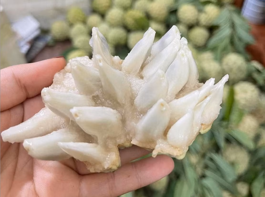 Loai qua ‘mo mat’ dua ve pho ban 250 nghin/kg