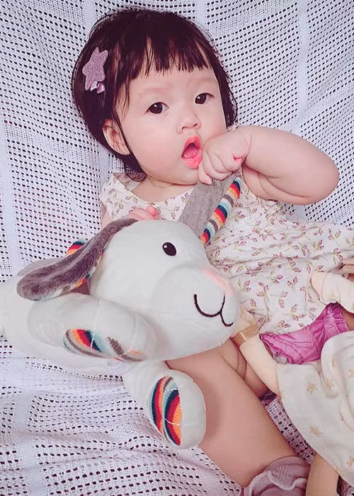 Con gái của Đặng Thu Thảo tên Sophie, sở hữu làn da trắng hồng giống mẹ, mái tóc xoăn giống bố.