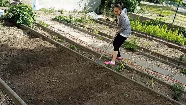 Chị Ngọc Hà, hiện đang cùng gia đình sinh sống tại thành phố Magdeburg, bang Sachsen Anhalt, Đức. Ngoài thời gian bận rộn công việc gia đình, chăm sóc con cái, chị luôn giành thời gian để cố gắng cải tạo khu vườn để trồng rau sạch, cải thiện bữa ăn và thỏa mãn sở thích đam mê làm vườn của mình.
