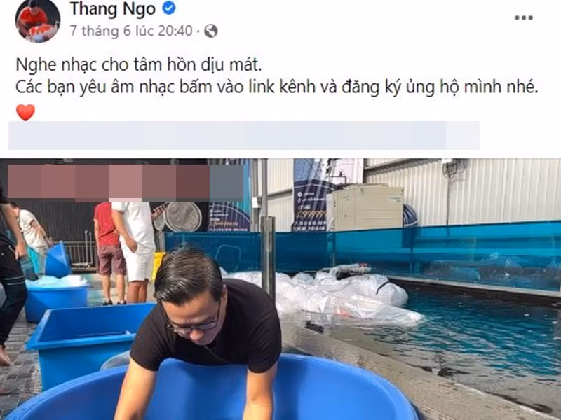 Gần đây, doanh nhân Thắng Ngô liên tục kêu gọi khán giả ủng hộ kênh Youtube của Hà Thanh Xuân.