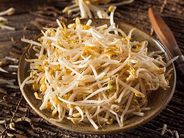 Bên cạnh đó, chất xơ trong giá đỗ còn giúp loại bỏ chất thải ra khỏi cơ thể. Giá đỗ có vị ngọt, tính mát, nhiều nước, mang lại tác dụng giải cảm, thúc đẩy quá trình tiết dịch, là thực phẩm hỗ trợ nỗ lực giảm cân.