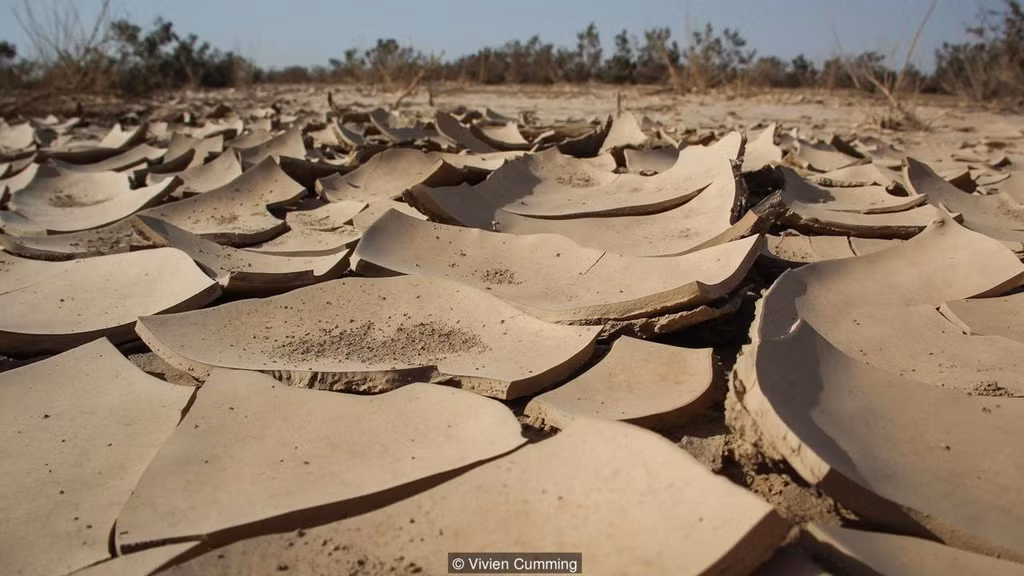 Nằm ở sa mạc Danakil thuộc Ethiopia, châu Phi, vùng lõm Danakil là một trong những nơi nóng nhất, khô nhất và thấp nhất trên trái đất. Điều kiện khắc nghiệt nơi đây khiến nền đất luôn nứt nẻ do khô cằn.