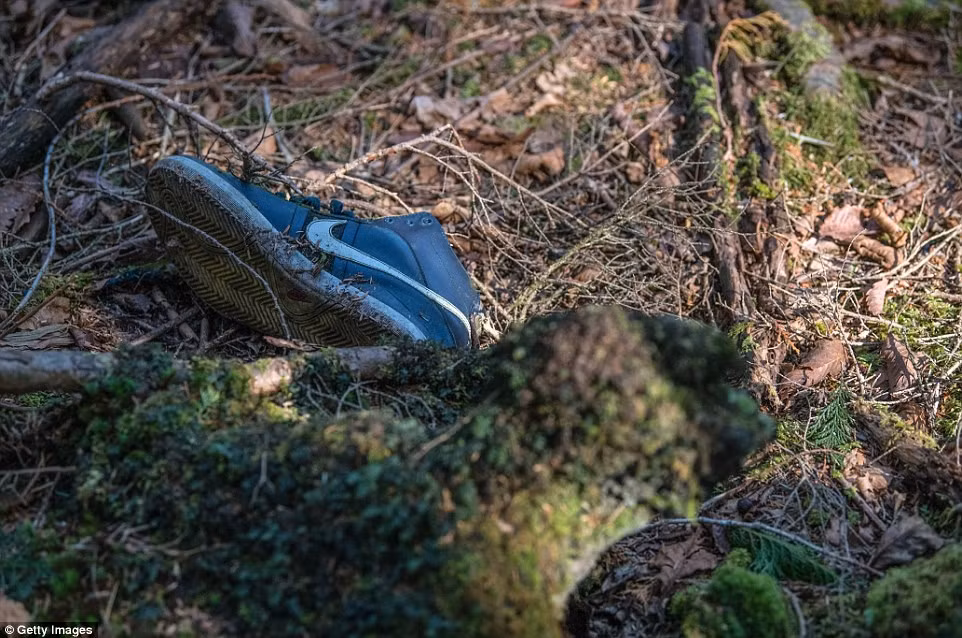 Aokigahara quanh năm cây cối rậm rạp, cành lá um tùm tỏa ra không khí âm u, lạnh lẽo đến rùng rợn.