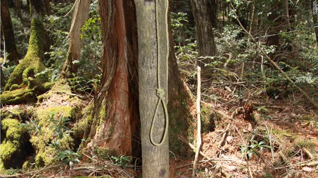 Khu rừng Aokigahara còn là nơi xuất hiện một giai thoại rùng rợn về con "chim quỷ" bí ẩn.