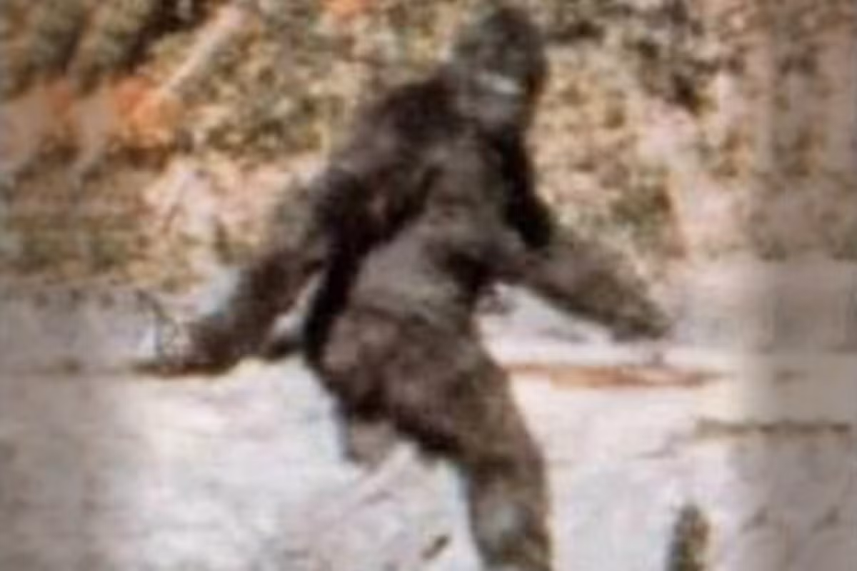 Theo các chuyên gia, Bigfoot nguyên bản đi lang thang trên Trái đất khoảng 2 triệu năm trước.