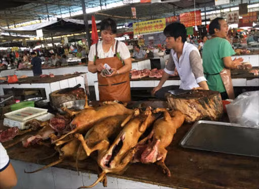 Cụ thể, lễ hội thịt chó được người dân ở thành phố Ngọc Lâm kéo dài trong 10 ngày, thường diễn ra từ ngày 21 - 30/6 . Hoạt động được người dân địa phương tổ chức mỗi năm một lần để mừng ngày Hạ chí.