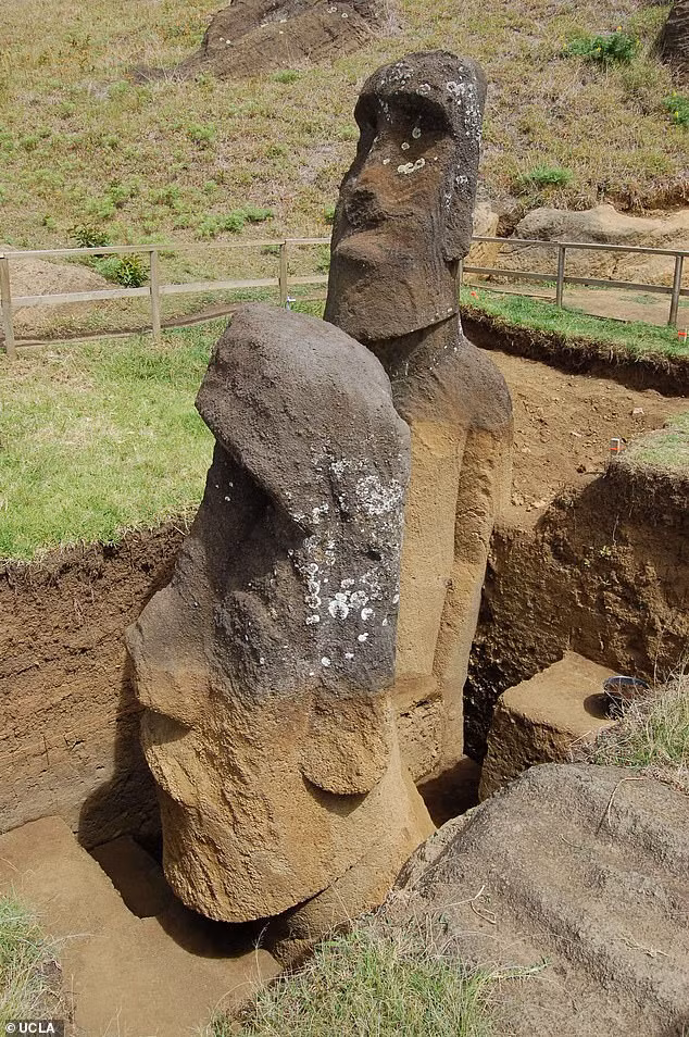 Sau 5 năm nghiên cứu hai đầu tượng Moai ở trung tâm mỏ đá Rano Raruko, các chuyên gia ở Đại học California, Los Angeles (UCLA) có những phát hiện bất ngờ.