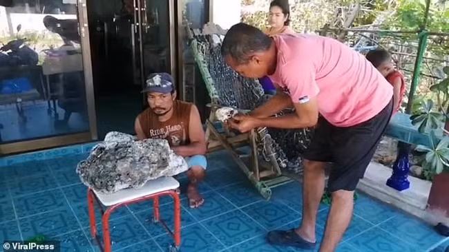 Long diên hương là thứ có giá trị và được hình thành trong hệ tiêu hóa của cá nhà táng.