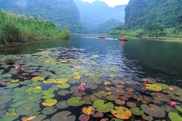 Một cảnh trên dòng sông Ngô Đồng ở khu du lịch Tam Cốc - Bích Động. Ảnh: An Bùi.