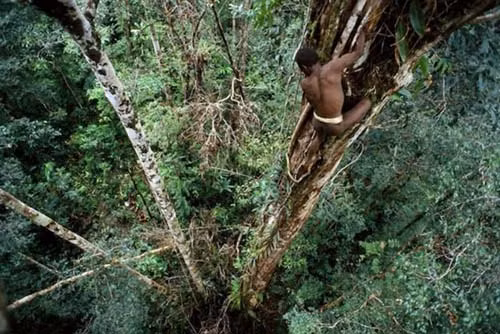 Bộ tộc Korowai: Người Korowai là một bộ tộc bản địa cư trú trong những cánh rừng ở cực đông của tỉnh Papua, Indonesia. Thế giới văn minh phát hiện họ vào những năm 1970. Họ sống theo hình thức bộ tộc và thuộc nhóm những bộ tộc sống hoang dã và nguyên thủy nhất thế giới.