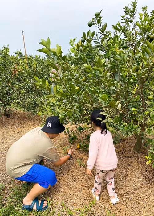 Lê Phương hạnh phúc khi thấy hai con yêu thương nhau.