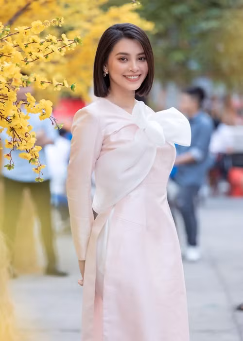 Hoa hậu Tiểu Vy từng vướng tin đồn tình cảm với ca sĩ Quân A.P, thiếu gia Thế Anh. Đối mặt với nghi vấn yêu đương, nàng hoa hậu một mực phủ nhận.