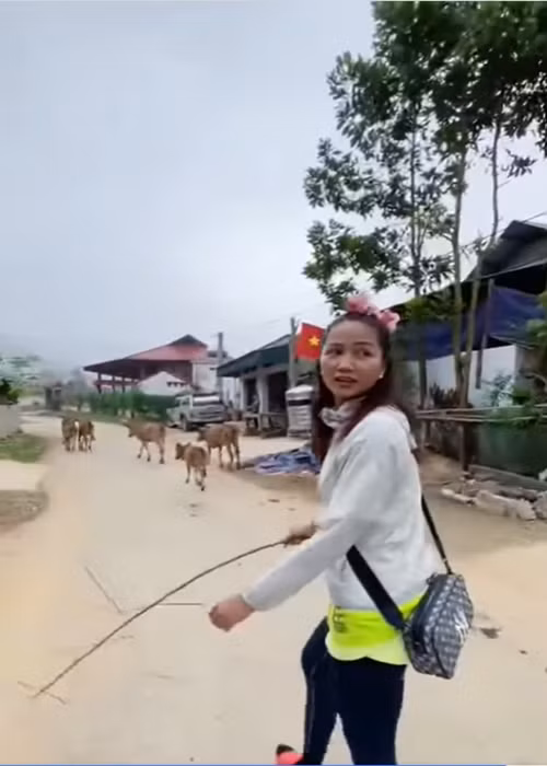 Mới đây, vì không thấy chủ của đàn bò, H'hen Niê đã chăn giúp. Khi được người dân mời vào chơi, cô hài hước đáp lại: “Dạ em đang đi chăn bò, bữa nào em ghé chơi”. Ảnh: Yeah1