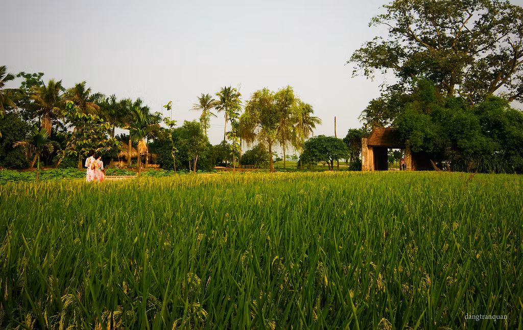  Làng cổ Đường Lâm không còn xa lạ với người thích xê dịch. Được mệnh danh là một trong những ngôi làng cổ nhất miền Bắc, không gian làng Đường Lâm đượm màu xanh lá, kết hợp với gam nâu trầm cổ kính của những ngôi nhà nhỏ. Ảnh: Dangtranquan/Flickr.
