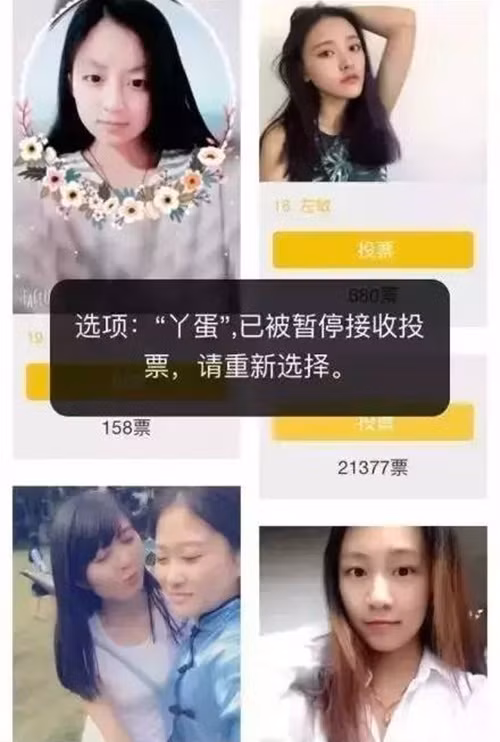 Nghịch lý ở chỗ, mặc dù xấu người, xấu mặt nhưng Nha Đản lại dẫn đầu danh sách bình chọn trực tuyến với số phiếu hoàn toàn áp đảo so với 19 thí sinh còn lại. Thậm chí, cô nàng còn bỏ xa rất cách biệt người đứng ngay sau mình.