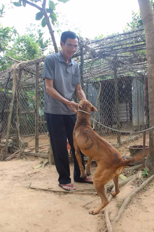 Ông Năm Cưa vuốt ve con Vện tinh khôn của mình