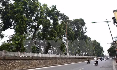 Ha Noi dat hang cac chuyen gia thiet ke trong cay xanh tren dia ban