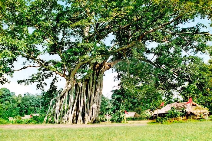 Khi giặc Minh đô hộ nước ta đã đặt nền hành chính Tuyên Quang vào "Phủ" gọi là Phủ Tuyên Quang sau đó đổi là châu Tuyên Hóa. Phủ Tuyên Quang lúc này có 9 huyện đứng đầu phủ là tri phủ, đứng đầu huyện là tri huyện. 