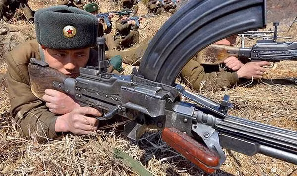 Theo phân tích, sử dụng băng đạn dọc, cho phép các xạ thủ bắn từ vị trí nằm sấp; trong khi tiếp đạn bằng dây cũng có thể làm điều tương tự. Có thể băng đạn cong, khắc phục tình trạng hay kẹt đạn, khi tiếp đạn bằng dây. Điều đặc biệt nữa là Type 73 có thể phóng đạn lựu.