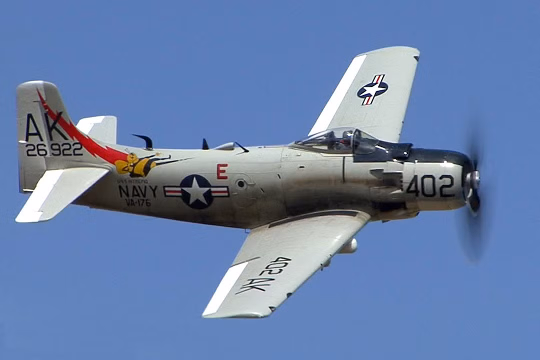 Skyraider tham chiến lần đầu trong Chiến tranh Triều Tiên, do các phi công của Hải quân và Thủy quân lục chiến Mỹ sử dụng. Skyraider đã bất ngờ mang lại một số lợi thế, khi so sánh với các máy bay chiến đấu phản lực cùng thời, nhất là khả năng mang tải vũ khí và thời gian hoạt động trên không.