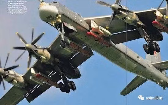 Mặc dù không sử dụng loại máy bay ném bom chiến lược Tu-95, thường xuyên trên chiến trường Syria, nhưng loại máy bay này hoàn toàn không phải là vô dụng; khi cuộc xung đột tại Syria là cuộc xung đột cục bộ, cường độ thấp. Do vậy Nga không nhất thiết phải mang "dao mổ trâu để giết gà". 