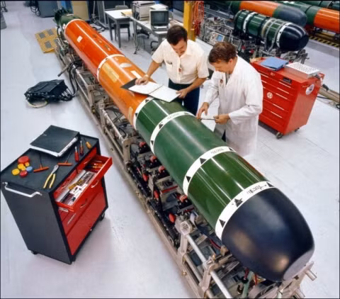 Bên cạnh công việc nâng cấp công nghệ dẫn đường trên ngư lôi của Lockheed, Hải quân Mỹ cũng đang chuẩn bị phát triển những phiên bản Mk 48 mới (có thể là Mod 8) có đường kính 533 mm và nặng tới 1.597 kg.