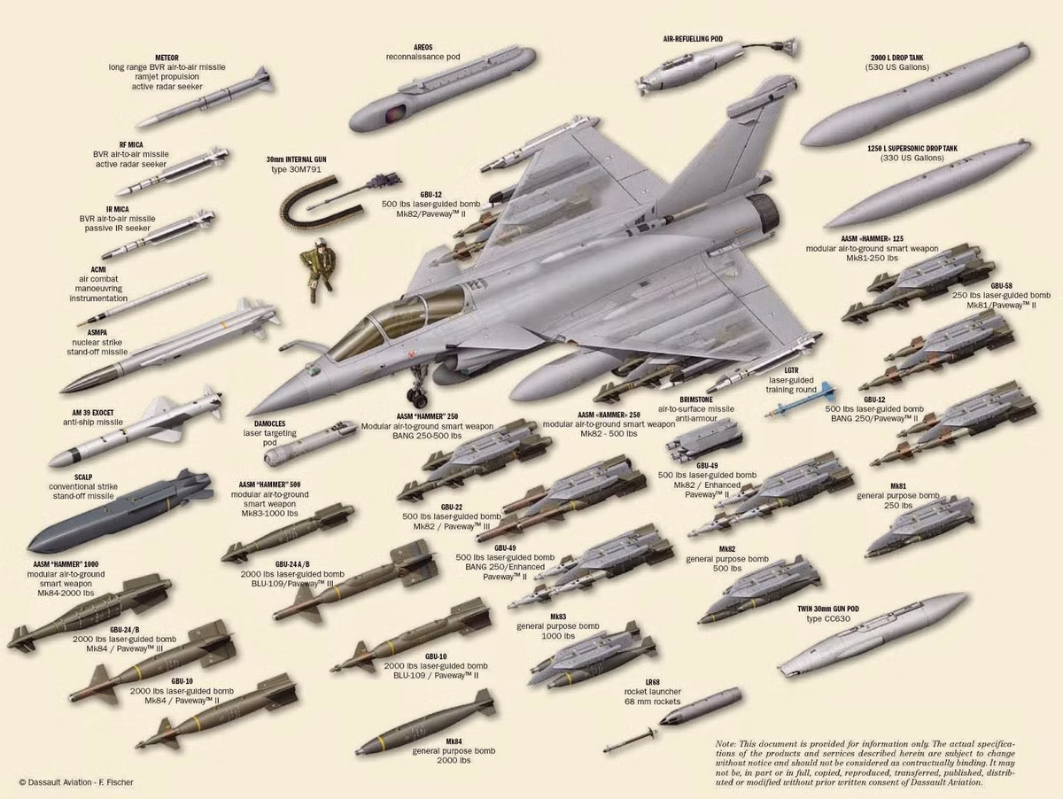 Chiến đấu cơ Rafale giống như một "ngựa thồ" vũ khí trên không, nó có tổng cộng 14 điểm treo và có thể mang tới 9 vũ khí các loại, từ bom dẫn đường bằng laser A2SM, tên lửa chống hạm ANF, tên lửa hành trình Scap.