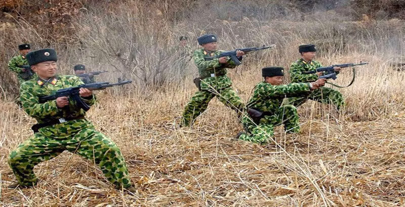 Việc triển khai các lực lượng đặc biệt tới Syria vẫn là một chiêu bài hiệu quả góp phần hỗ trợ chính quyền Damascus và là hoạt động mới nhất trong một chuỗi các hoạt động can thiệp quân sự lâu dài của Triều Tiên nhằm hỗ trợ các quốc gia đồng minh chống lại các đối thủ phương Tây.