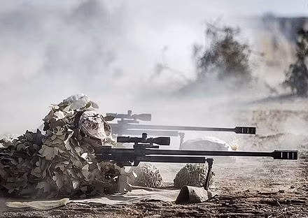 Khẩu súng bắn tỉa HS 50 xuất hiện lần đầu tại Triển lãm SHOT 2002. Việc Steyr giới thiệu và tiếp thị một mẫu súng bắn tỉa từ một nhà thiết kế độc lập, có thể xuất phát từ việc họ quá mệt mỏi với khái niệm súng bắn tỉa hạng nặng.