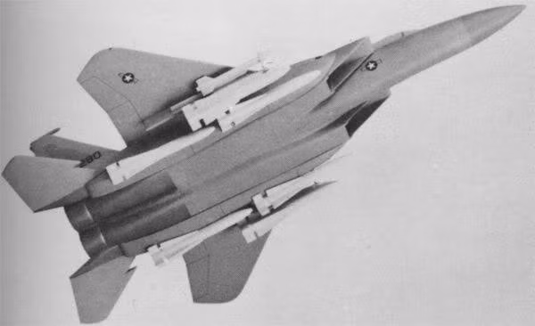 Về vũ khí, thiết kế ban đầu của F-15N chỉ được trang bị tên lửa không đối không tầm ngắn Sidewinder và tầm trung Sparrow, cùng một pháo hàng không. Vũ khí mà F-15N không có là tên lửa tầm siêu xa AIM-54 Phoenix, loại vũ khí mà Hải quân tin tưởng sẽ đánh chặn tốt các máy bay ném bom của Liên Xô, trước khi chúng có thể tấn công hạm đội.