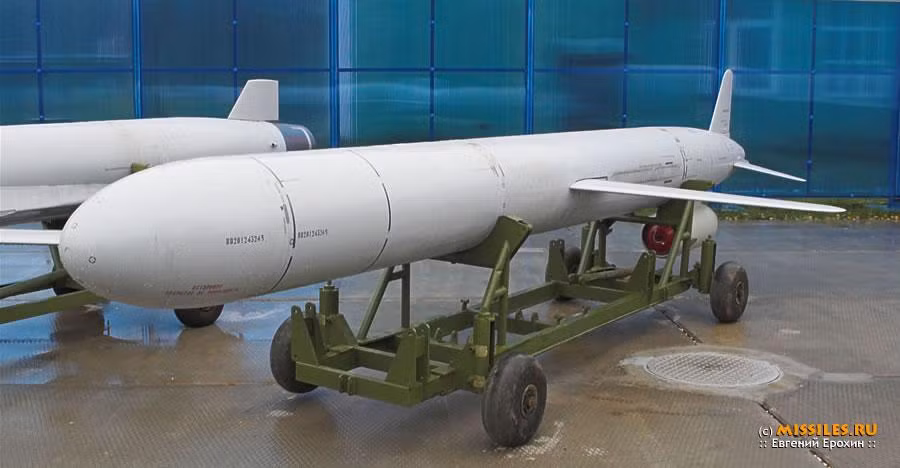 Kh-55 có tốc độ bay từ 0,6-0,8 Mach và tầm bắn rất xa, từ 300 km đến 3.500 km tùy thuộc vào độ cao bay, tốc độ và trọng lượng đầu đạn. Tên lửa sử dụng hệ thống dẫn đường quán tính, radar, cũng như hệ thống dẫn đường hồng ngoại và điều chỉnh sai số bằng vệ tinh. Các máy bay sử dụng Kh-55 gồm Tu-95MS, Tu-160 và Su-34.