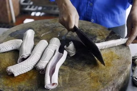 Rắn hổ đất là đặc sản của các đại gia miền Tây thời xưa. Món cháo đậu xanh với rắn hổ đất thường được nấu để bổi bổ sức khỏe.