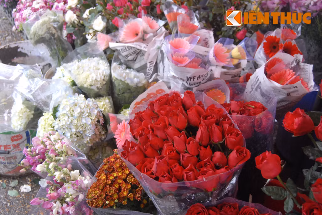 Đủ loại hoa khoe sắc khiến những ngày mưa Hà Nội bớt đi nhiều phần ảm đạm.