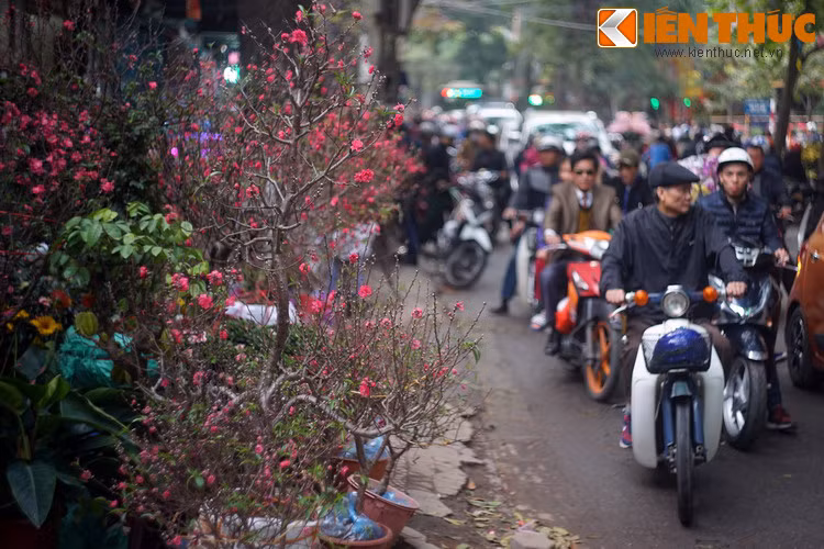Chơi hoa đào Tết là một tục lệ có từ lâu đời ở miền Bắc Việt Nam, ngày nay đã hiện diện ở mọi miền đất nước. Phía sau nét đẹp văn hóa này là một truyền thuyết đã có từ xa xưa.