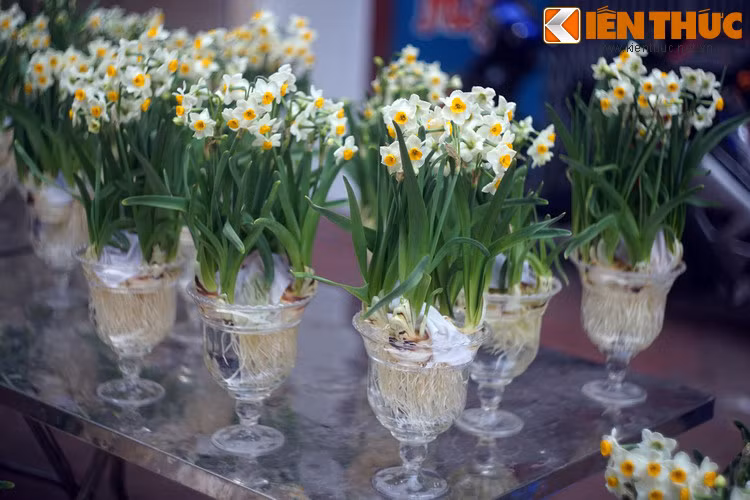 Chuyện kể rằng, ngày xưa có một ông phú hộ sinh được bốn người con trai. Khi qua đời, ông có di nguyện chia gia tài của mình cho các con bằng bốn phần đều nhau. Tuy nhiên, ba người con đầu chỉ để lại cho em út mảnh đất nhỏ khô cằn, phần còn lại thì chia nhau.