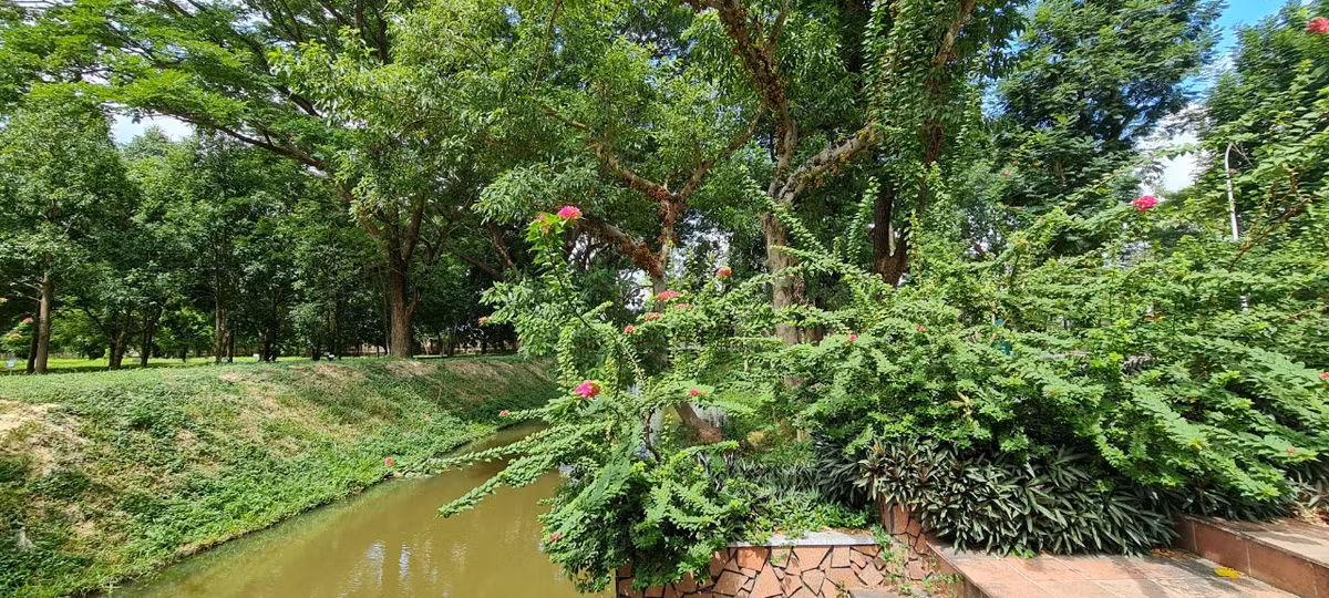 Và thả hồn vào không gian xanh mướt của Bảo tàng Quang Trung...