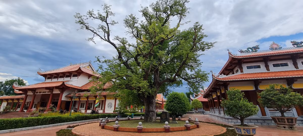 Được khởi dựng trên nền ngôi nhà thuở sinh thời 3 anh em nhà Tây Sơn, Đền thờ Tây Sơn Tam Kiệt có kiến trúc kiểu chữ đinh, mái vảy mũi hài, góc mái cong hình mũi thuyền, trang trí hoa văn cá hóa rồng. Kế bên trái điện là cây me cổ to lớn tỏa bóng mát một góc vườn.