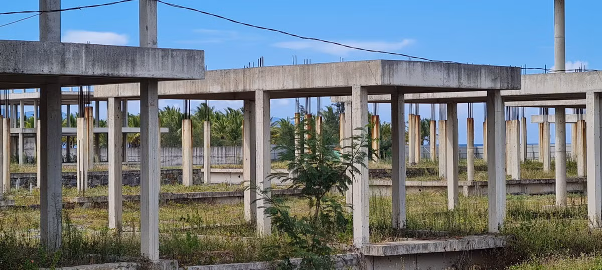 Cỏ dại ngập lối bên những khối bê tông đã đổi màu theo thời gian.