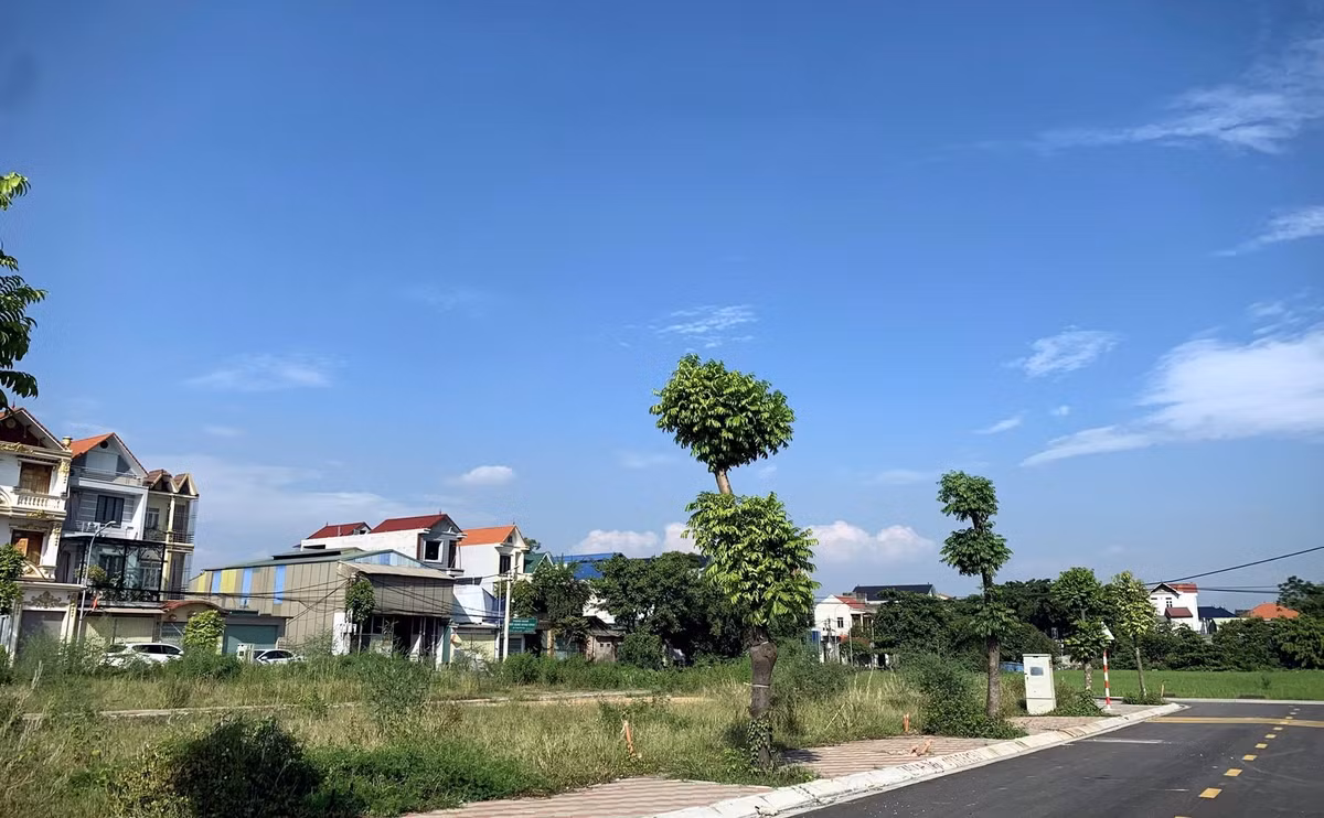 Cầm 30 lượng vàng không mua nổi đất, dân lo không có nhà ở Cam 30 luong vang khong mua noi dat, dan lo khong co nha o