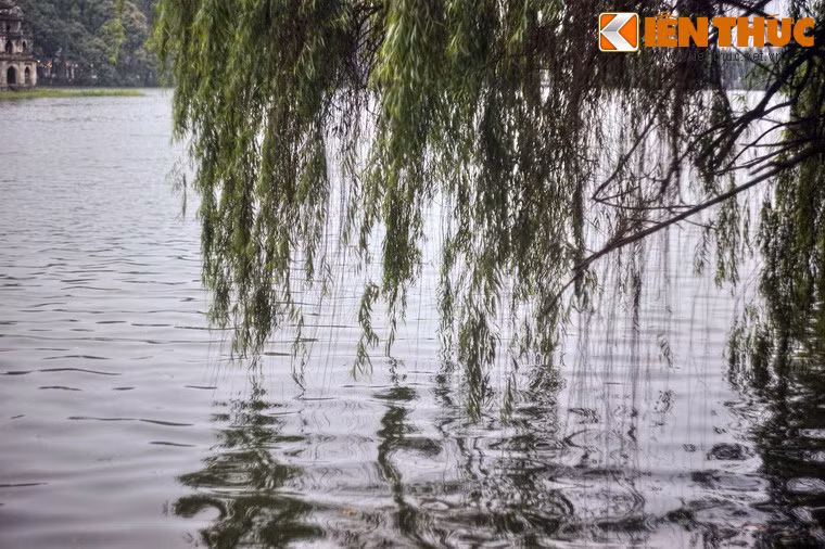 Hoặc những chiều thu đẹp như mơ, khi các cặp đôi hẹn hò trên ghế đá, cùng ngắm nhìn mặt hồ thơ mộng rợp bóng cây…