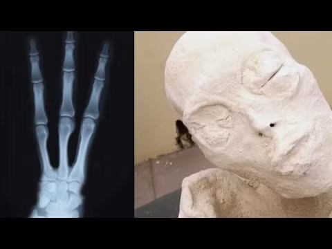 Một chi tiết khiến các chuyên gia quan tâm là lớp bột trắng phủ khắp cơ thể Maria.