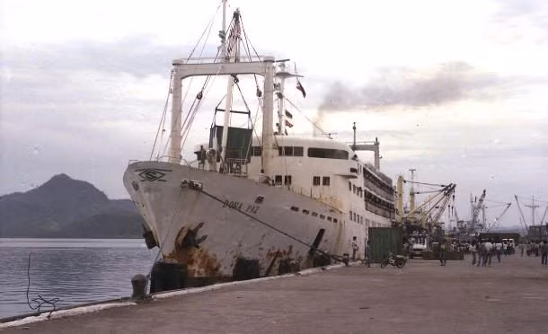 Vào đêm 20/12/1987, tàu MV Dona Paz của Philippines va phải tàu MT Vector vận chuyển 8.800 thùng dầu. Vụ va chạm này khiến các thùng dầu tràn ra và gây cháy kinh hoàng.