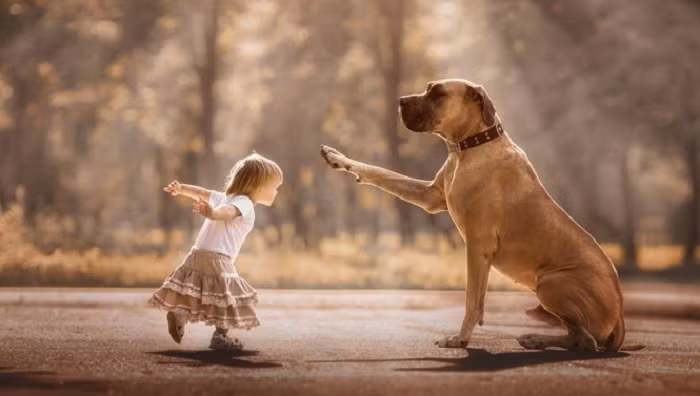 Tuổi Tuất nhận được sự nâng đỡ của lãnh đạo, làm việc ăn ý với đối tác nên công việc có nhiều cơ hội. Tuy nhiên con giáp này đừng để cảm xúc lên xuống thất thường mà ảnh hưởng đến các mối quan hệ. Tuổi Tuất có thêm kinh nghiệm trong đầu tư tài chính, nhưng cần thận trọng kẻo bị người khác gây ảnh hưởng. Con giáp có cơ hội được người lớn tuổi giới thiệu một nửa.